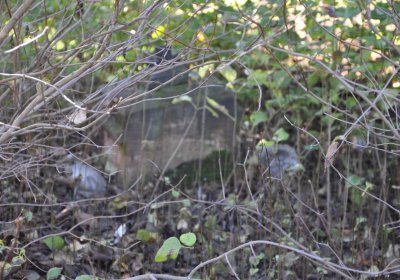 Staňkovice, Omnium, 2020