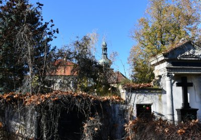 Staňkovice, Omnium, 2020