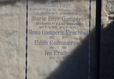 Staňkovice, Omnium, 2020