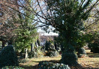 Staňkovice, Omnium, 2020