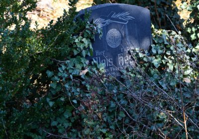 Staňkovice, Omnium, 2020