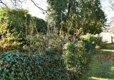 Staňkovice, Omnium, 2020