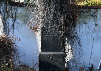 Staňkovice, Omnium, 2020