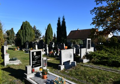 Staňkovice, Omnium, 2020