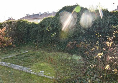 Staňkovice, Omnium, 2020