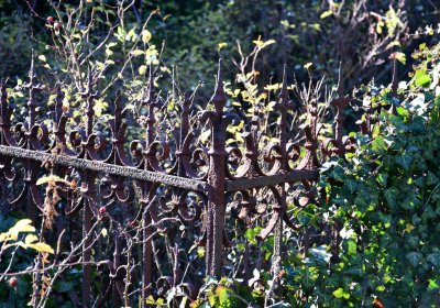 Staňkovice, Omnium, 2020