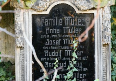 Staňkovice, Omnium, 2020