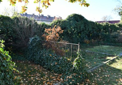 Staňkovice, Omnium, 2020