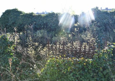 Staňkovice, Omnium, 2020