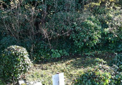 Staňkovice, Omnium, 2020