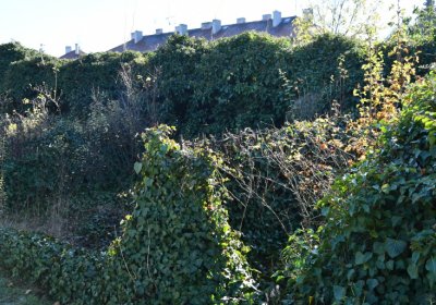 Staňkovice, Omnium, 2020