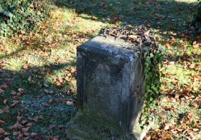 Staňkovice, Omnium, 2020