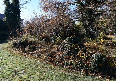 Staňkovice, Omnium, 2020