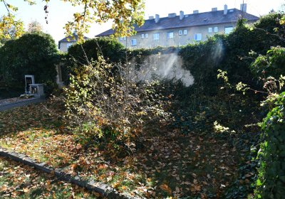 Staňkovice, Omnium, 2020