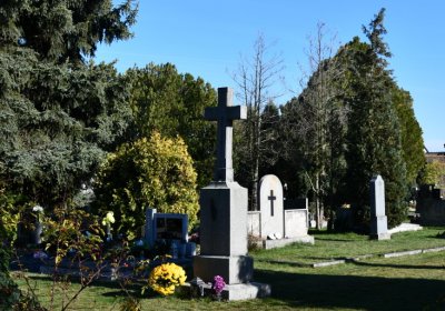 Staňkovice, Omnium, 2020