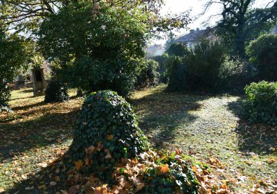 Staňkovice, Omnium, 2020