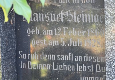 Staňkovice, Omnium, 2020