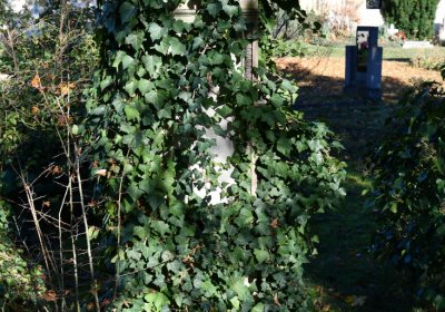 Staňkovice, Omnium, 2020