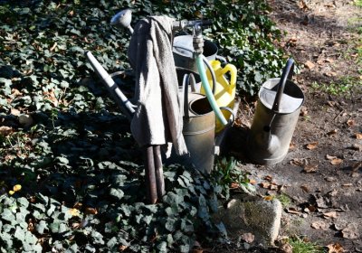 Staňkovice, Omnium, 2020