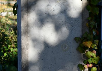 Staňkovice, Omnium, 2020