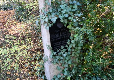 Staňkovice, Omnium, 2020