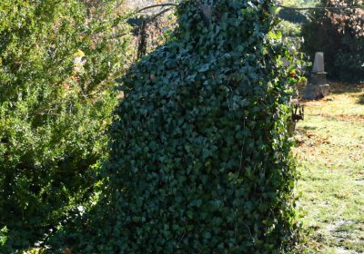 Staňkovice, Omnium, 2020