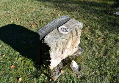 Staňkovice, Omnium, 2020