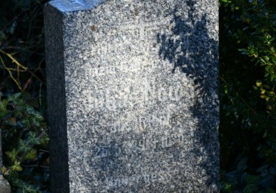 Staňkovice, Omnium, 2020