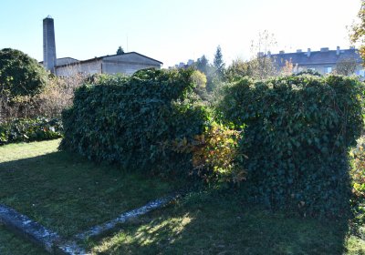 Staňkovice, Omnium, 2020