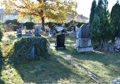 Staňkovice, Omnium, 2020