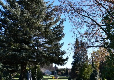 Staňkovice, Omnium, 2020