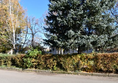 Staňkovice, Omnium, 2020