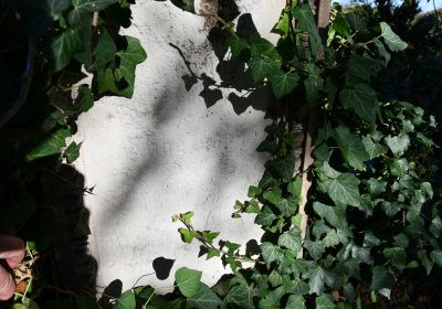 Staňkovice, Omnium, 2020