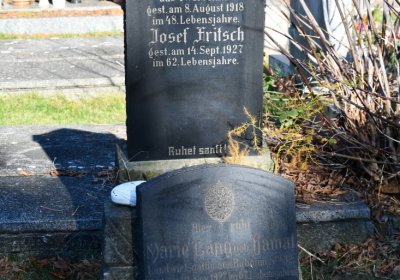 Staňkovice, Omnium, 2020