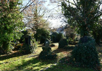 Staňkovice, Omnium, 2020