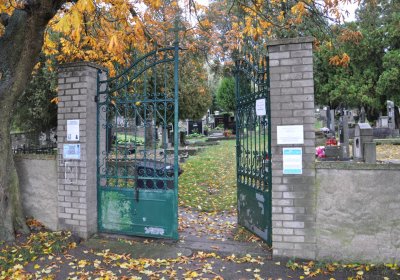 Vrbno nad Lesy, Omnium, 2020