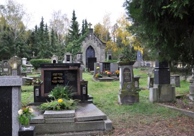 Vrbno nad Lesy, Omnium, 2020