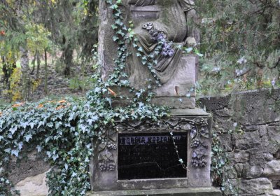 Vrbno nad Lesy, Omnium, 2020