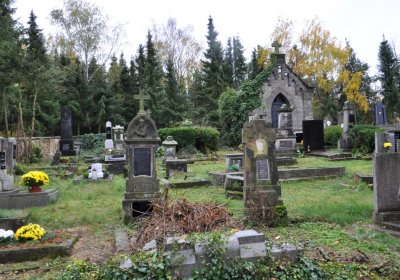 Vrbno nad Lesy, Omnium, 2020