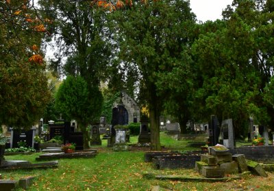 Vrbno nad Lesy, Omnium, 2020