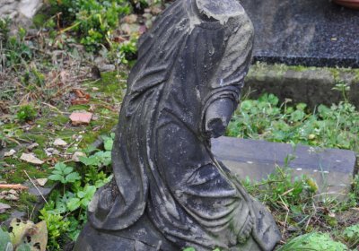 Vrbno nad Lesy, Omnium, 2020