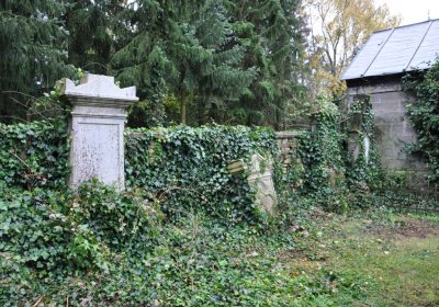 Vrbno nad Lesy, Omnium, 2020