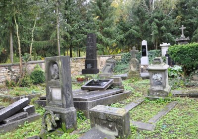 Vrbno nad Lesy, Omnium, 2020