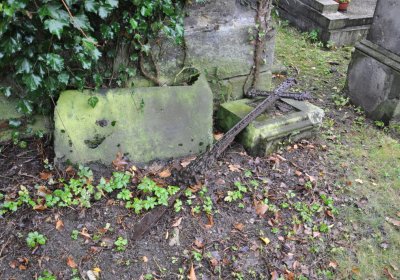 Vrbno nad Lesy, Omnium, 2020