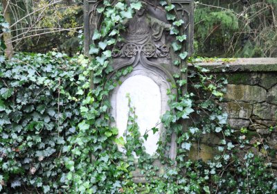 Vrbno nad Lesy, Omnium, 2020