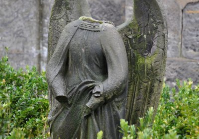 Vrbno nad Lesy, Omnium, 2020