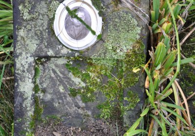 Vrbno nad Lesy, Omnium, 2020