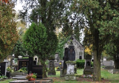 Vrbno nad Lesy, Omnium, 2020