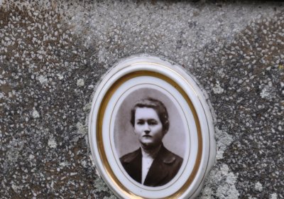 Vrbno nad Lesy, Omnium, 2020