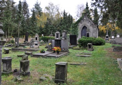 Vrbno nad Lesy, Omnium, 2020